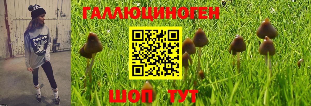 Галлюциногенные грибы MAGIC MUSHROOMS  Псилоцибиновые грибы Psilocybine cubensis  наркошоп  Абакан  Вход с VPN 